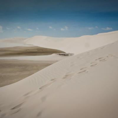 Landscapes